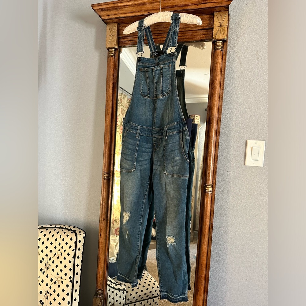 Adorable Indigo Blue Maternity Overalls